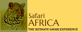 Safari Africa