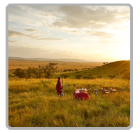 Tanzania Lemala Special Offers