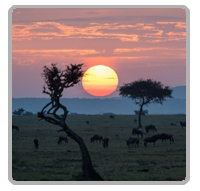 Porini Kenya Special Offers