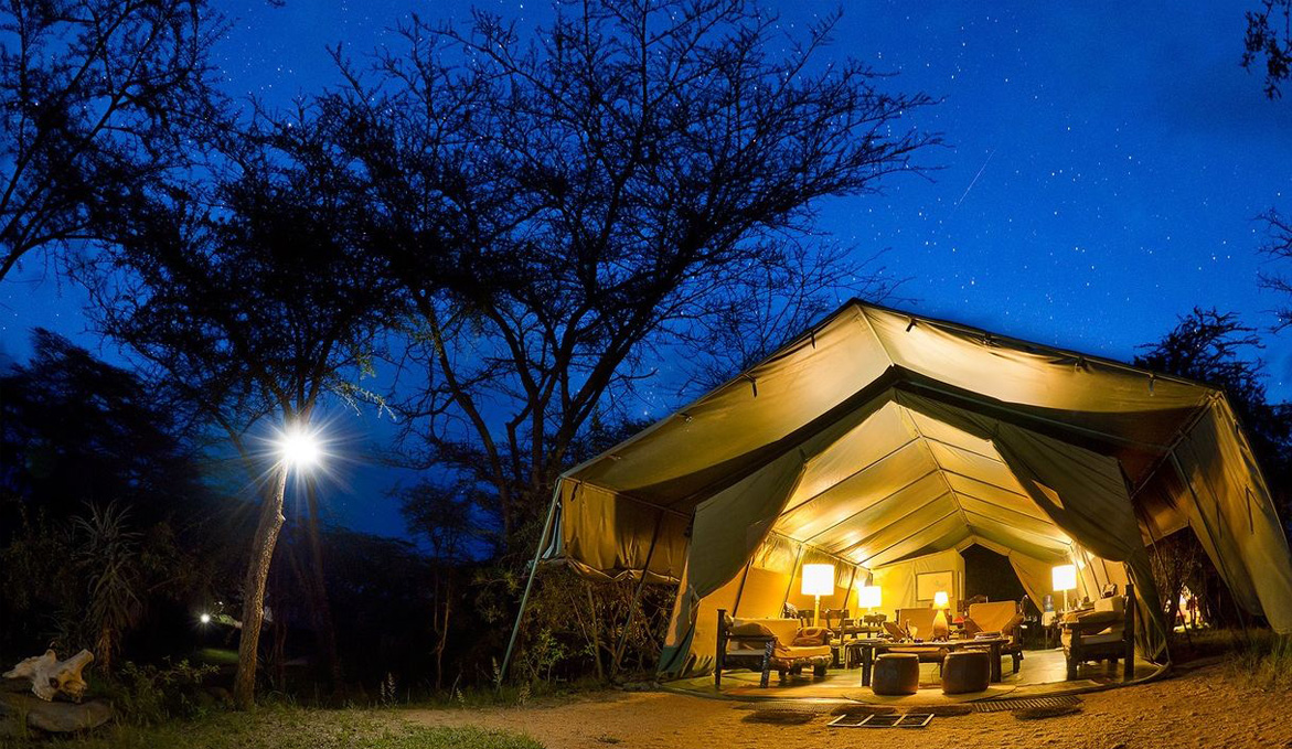 Porini Special Offer