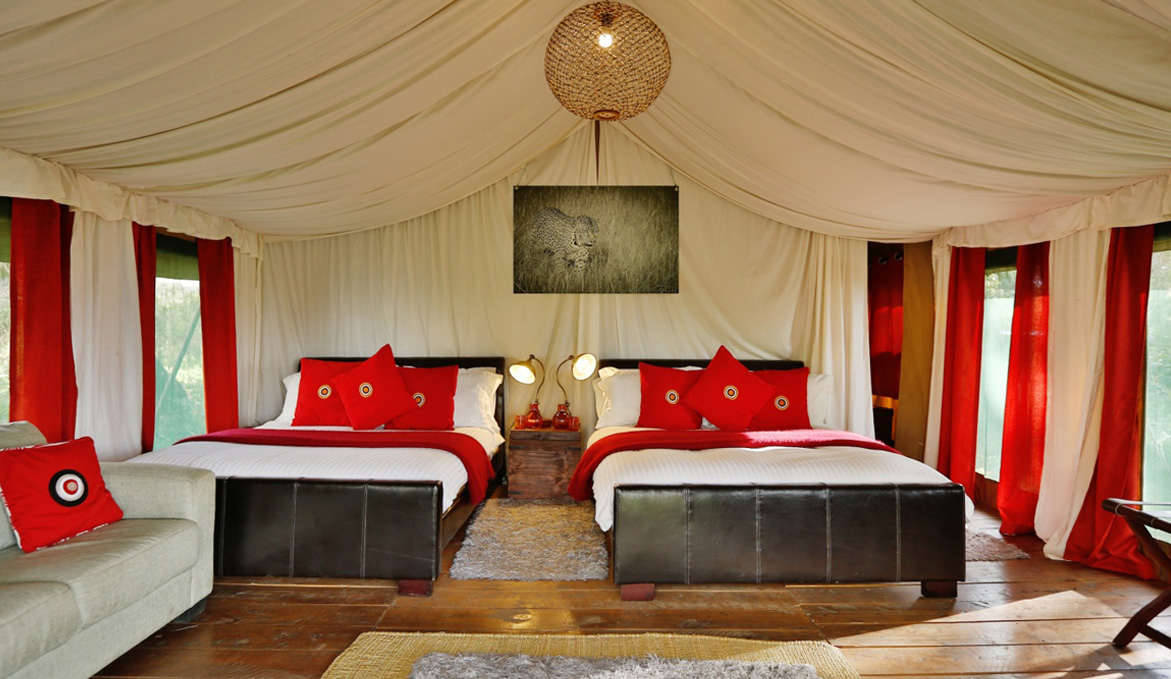 South Africa Diwali Special